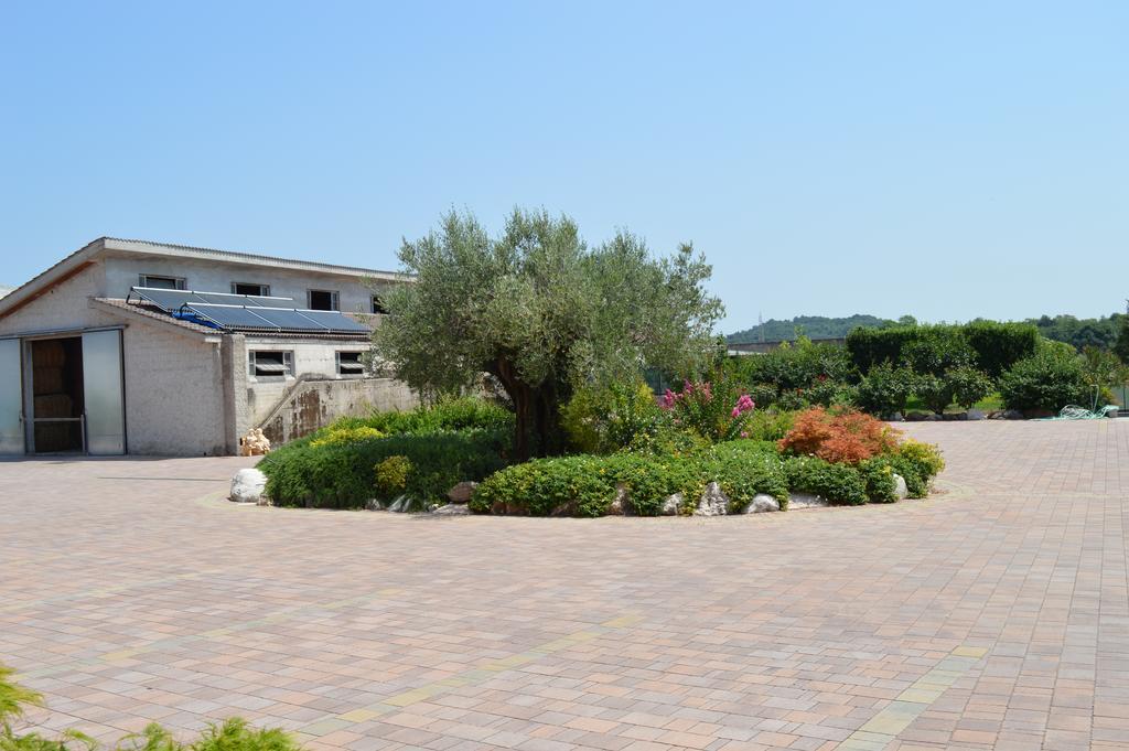 Agriturismo Ca' Del Gal ヴァレッジョ・スル・ミンチョ エクステリア 写真