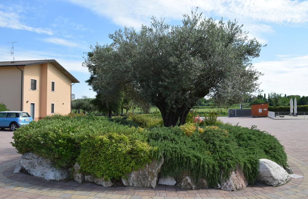 Agriturismo Ca' Del Gal ヴァレッジョ・スル・ミンチョ エクステリア 写真